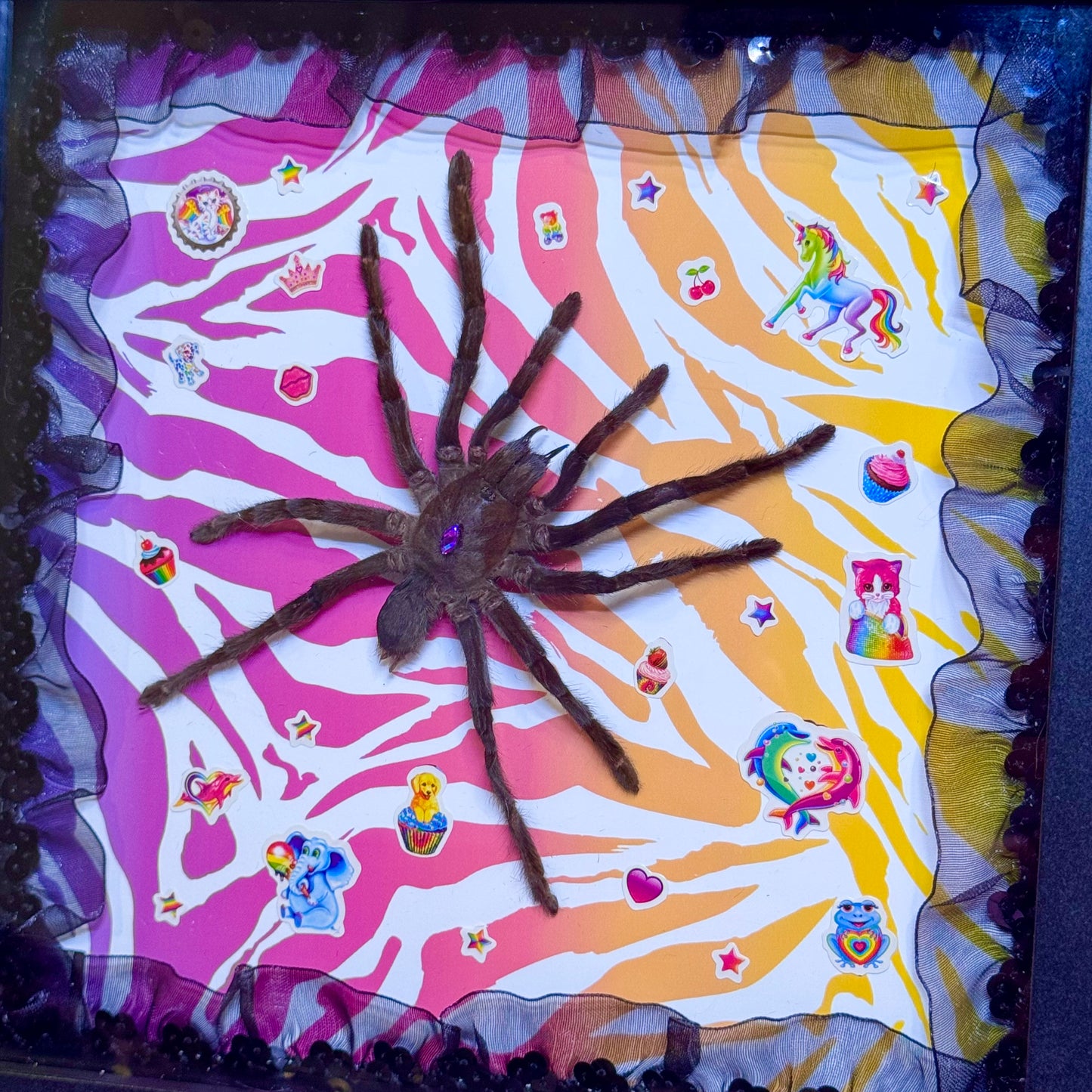 Tarantula on Lisa Frank Inspired Rainbow Zebra Print With Stickers