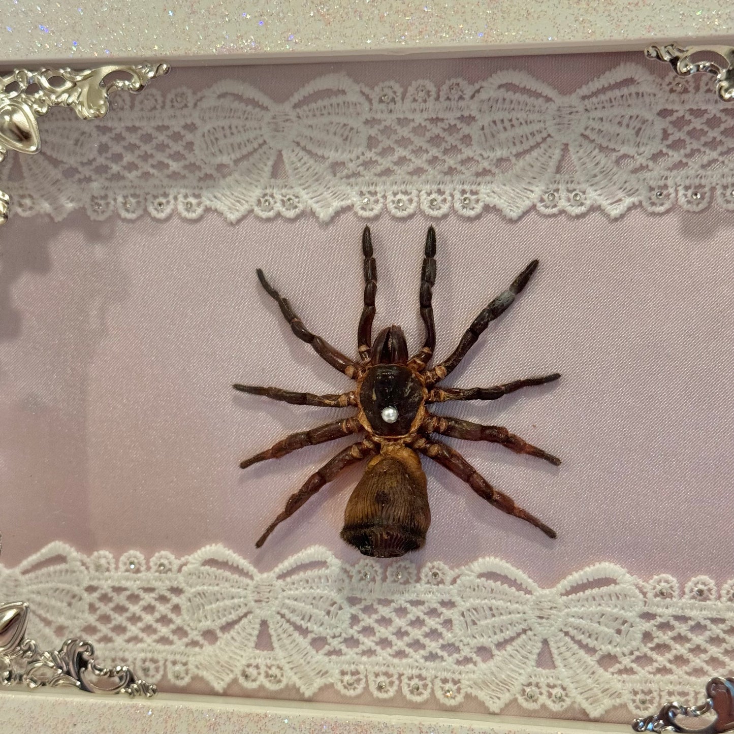 Trapdoor Spider on Pink Silk - Sparkle Frame