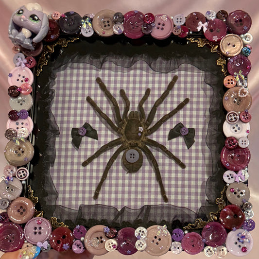 Tarantula Button Baby With LPS Bunny