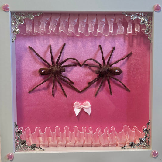 Lovers | White Frame