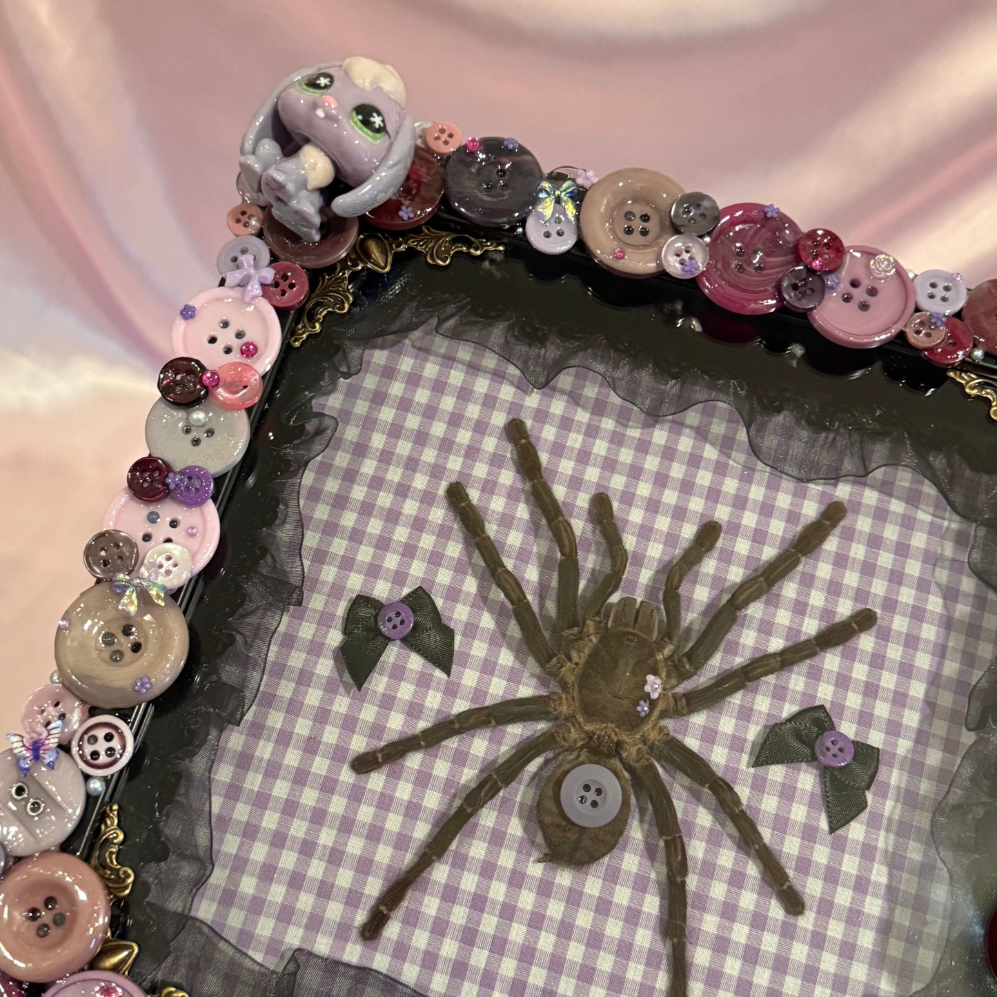 Tarantula Button Baby With LPS Bunny
