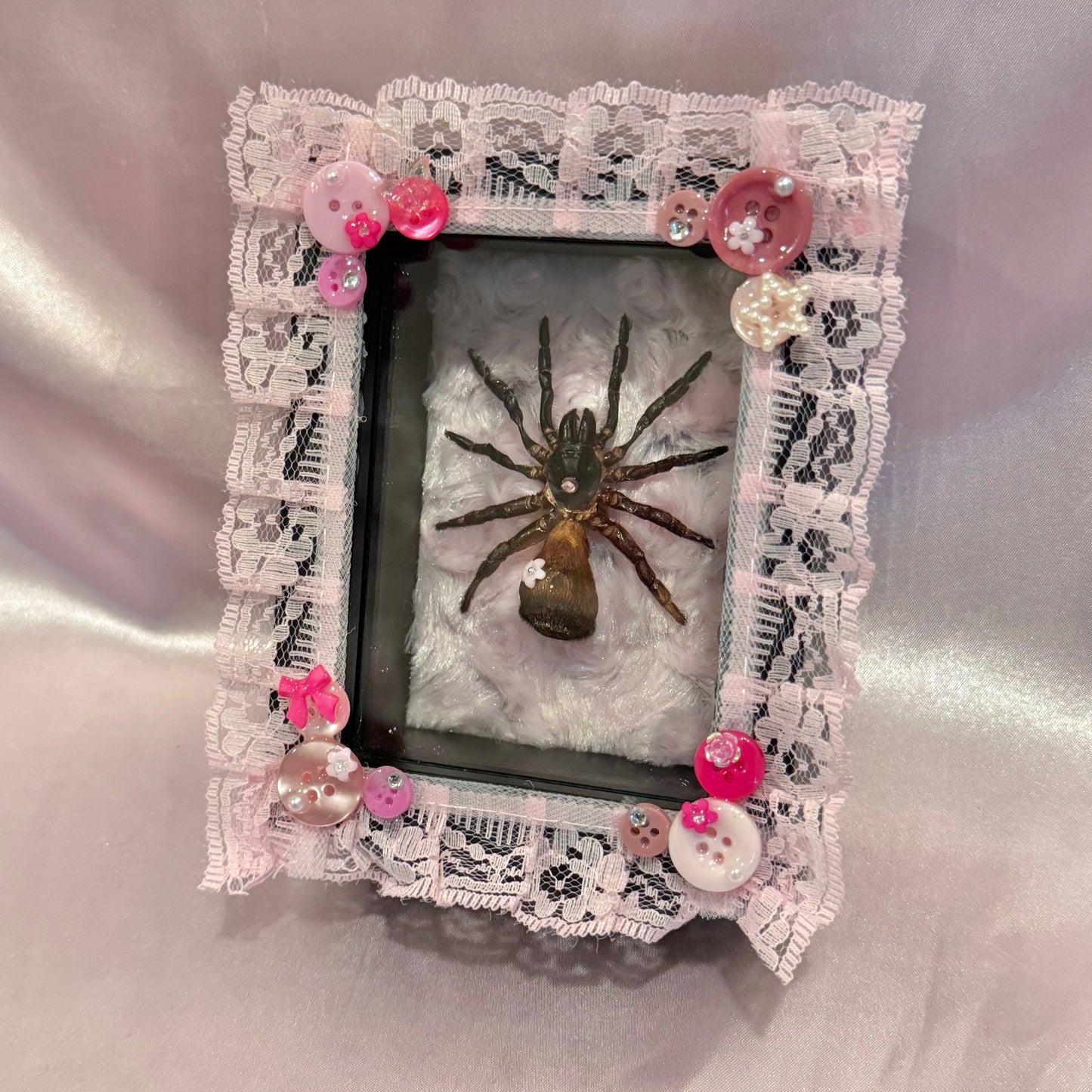 Trapdoor Spider - Pink on Pink on Pink