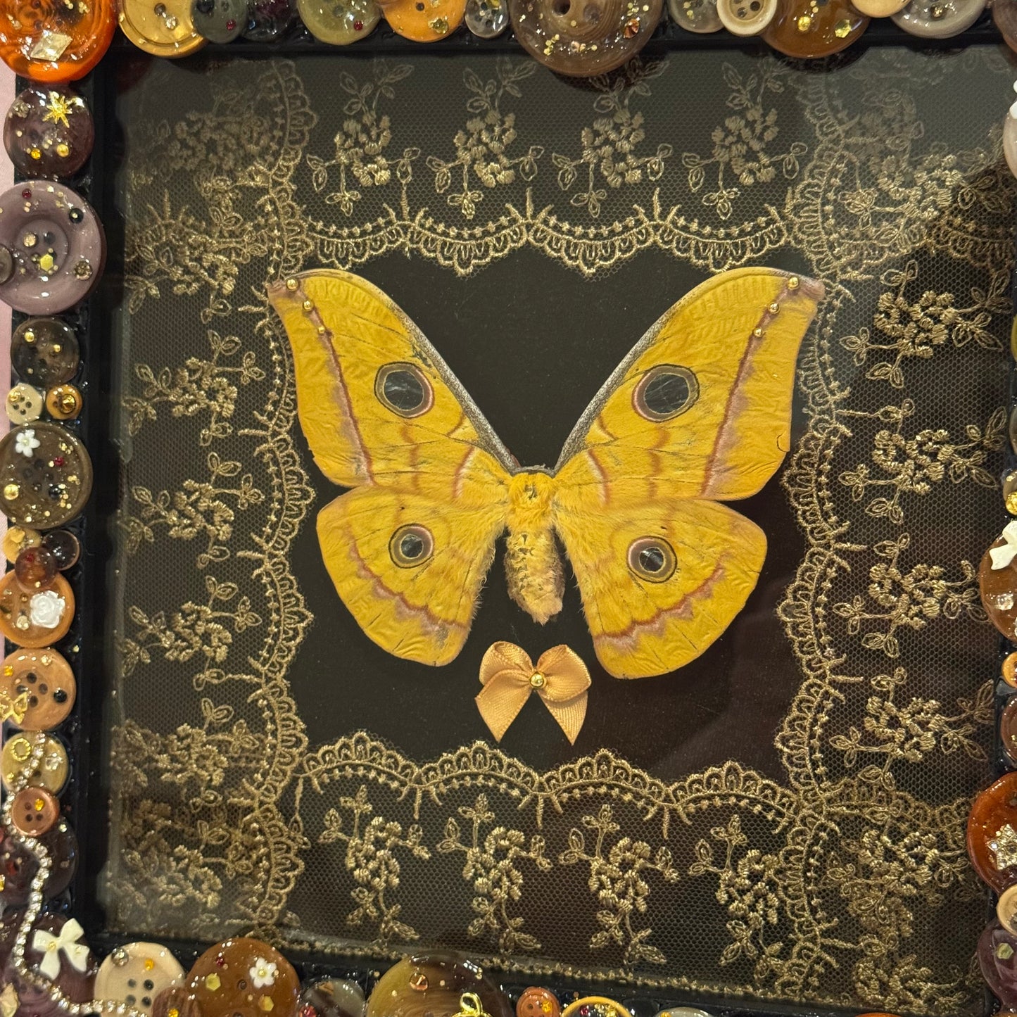 Japanese Silk Moth Button Baby