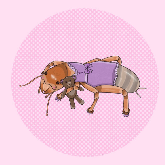 Jerusalem Cricket Cutie Pin