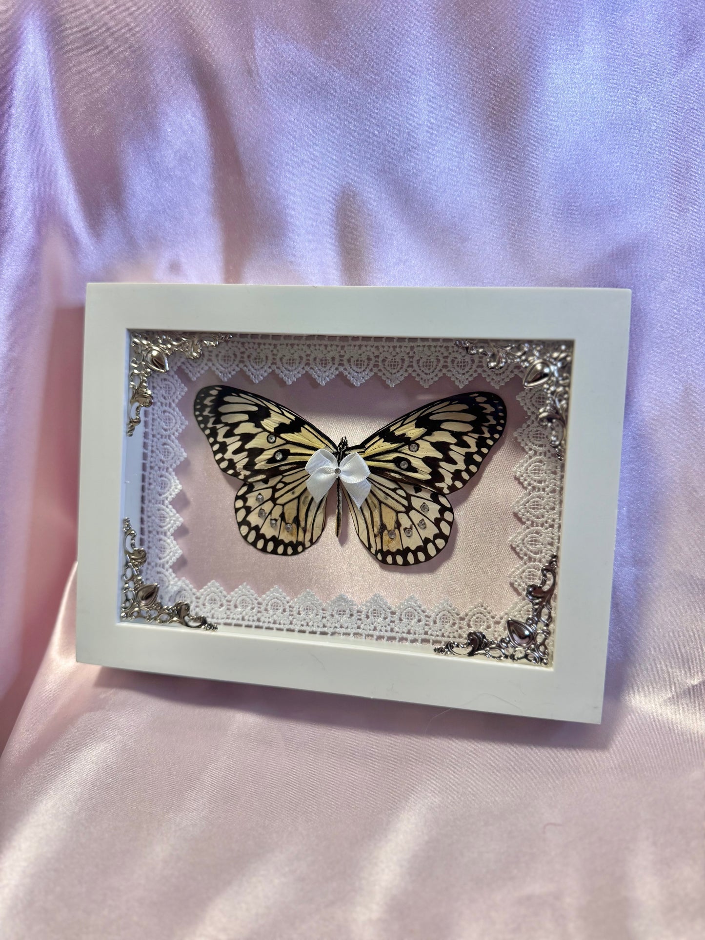 Paper Kite Butterfly