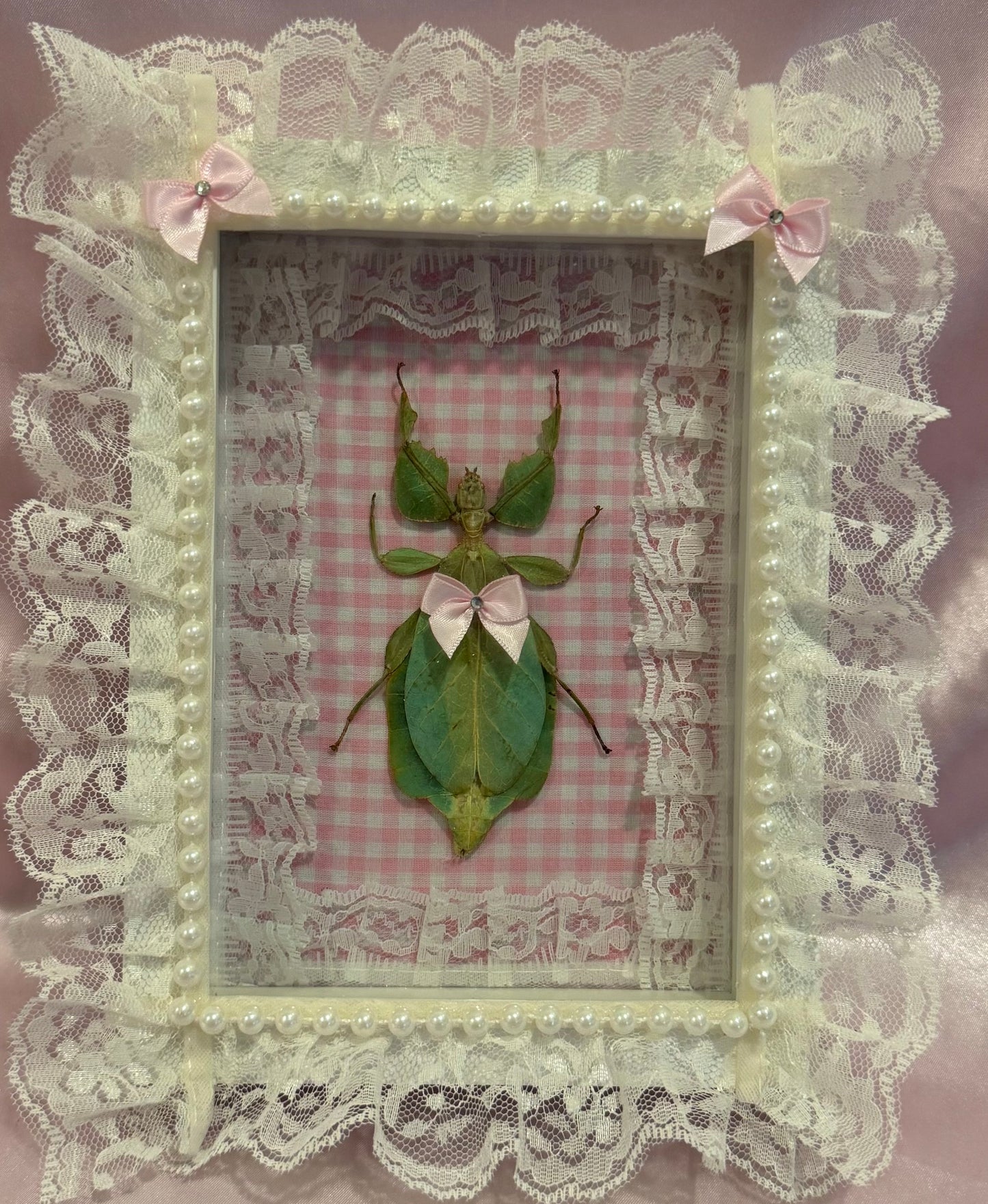 Green Leaf Insect on Pink Gingham With Lace