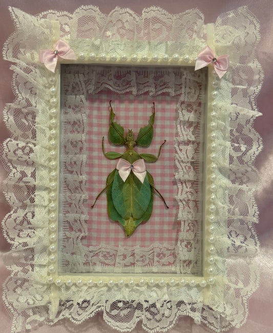 Green Leaf Insect on Pink Gingham With Lace
