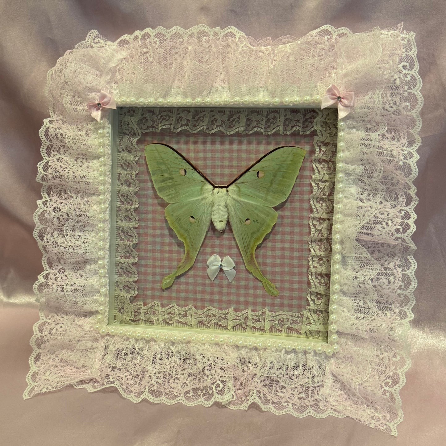 Luna Moth on Pink Gingham