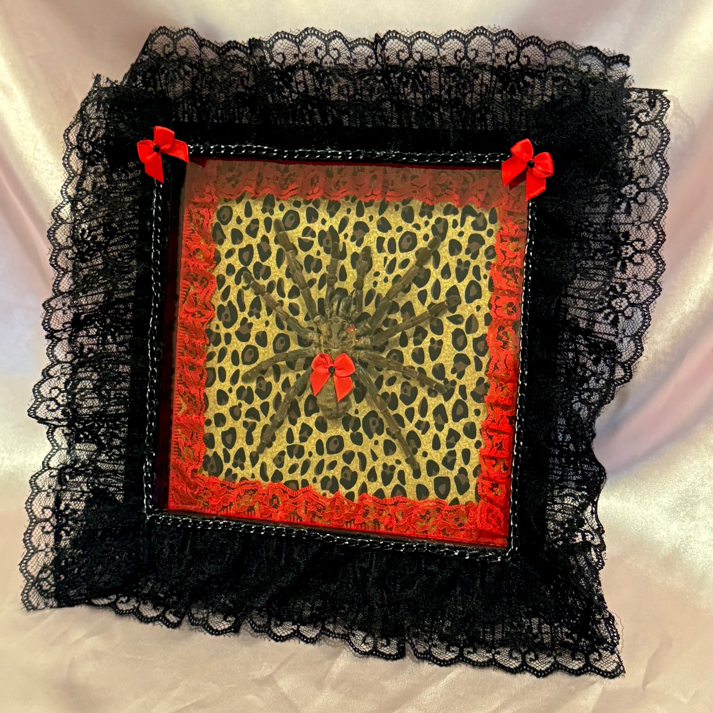 Tarantula on Cheetah Print