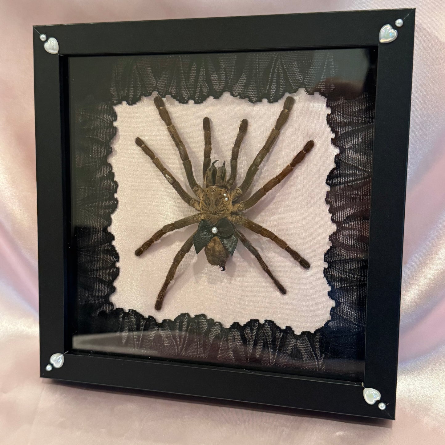 Tarantula on Pink Silk - Black Frame