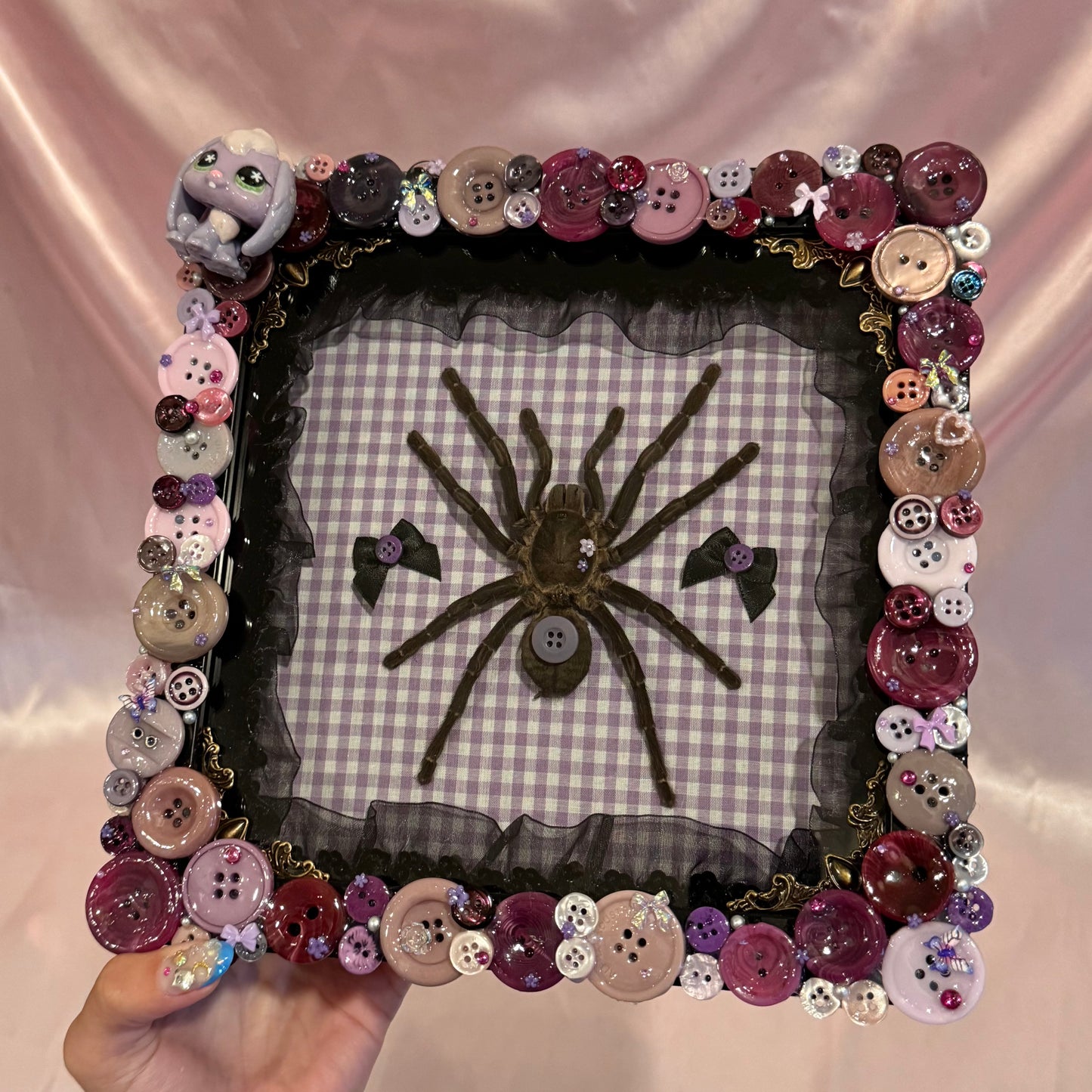 Tarantula Button Baby With LPS Bunny