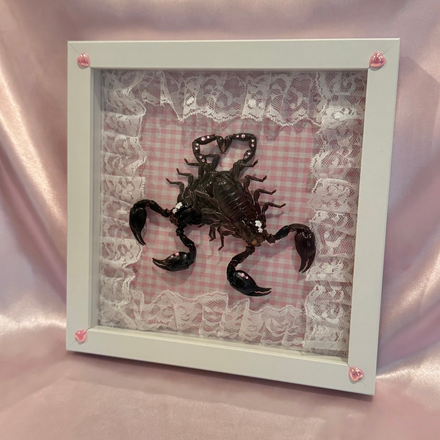 Scorpion Lovers on Pink Gingham