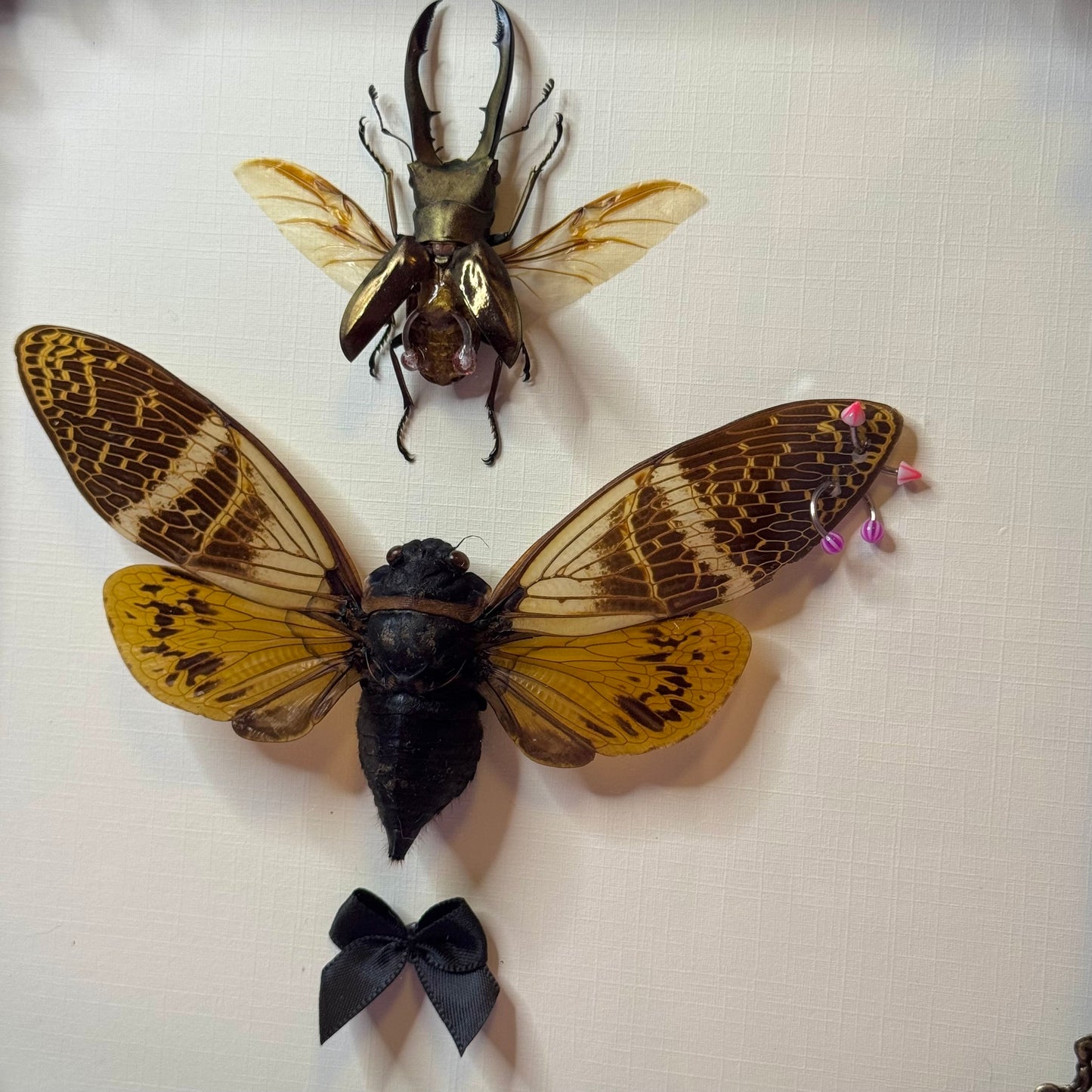 Beetle & Cicada Pierced Duo