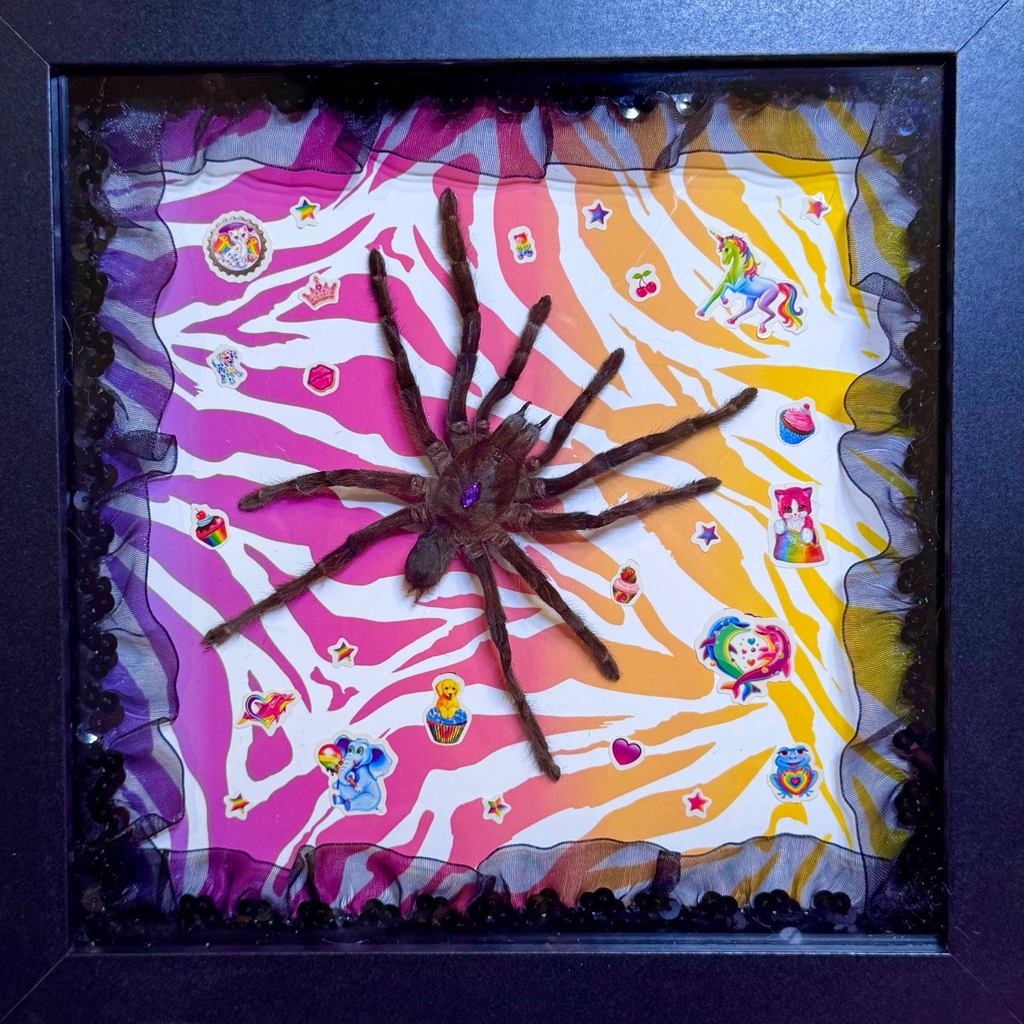 Tarantula on Lisa Frank Inspired Rainbow Zebra Print With Stickers