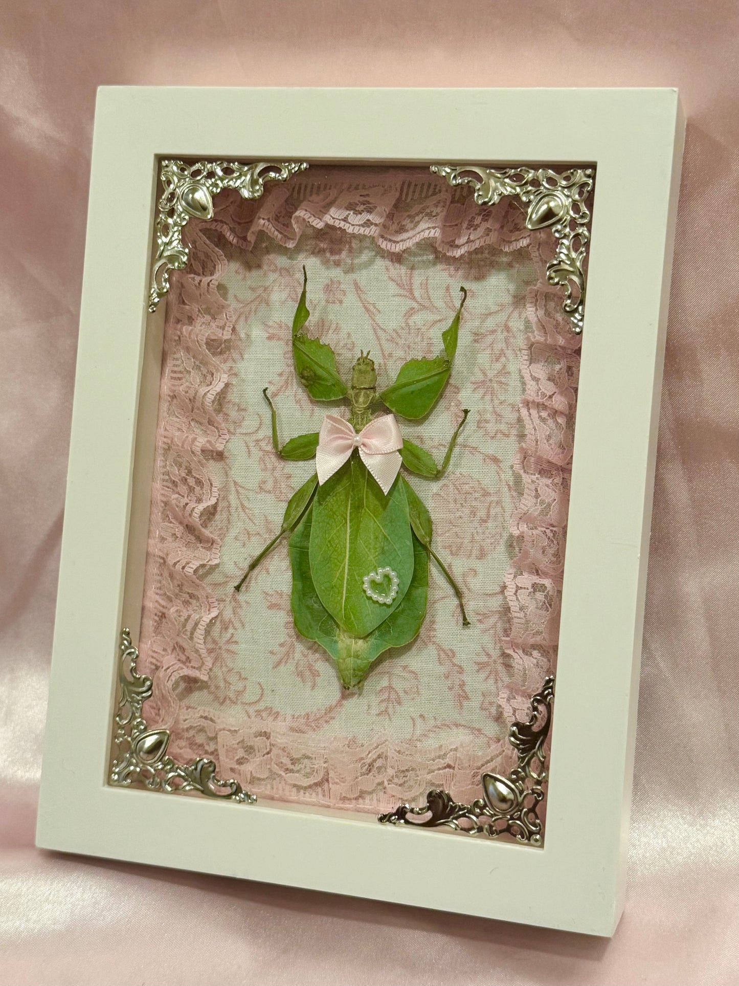 Green Leaf Insect On Lacey Pink