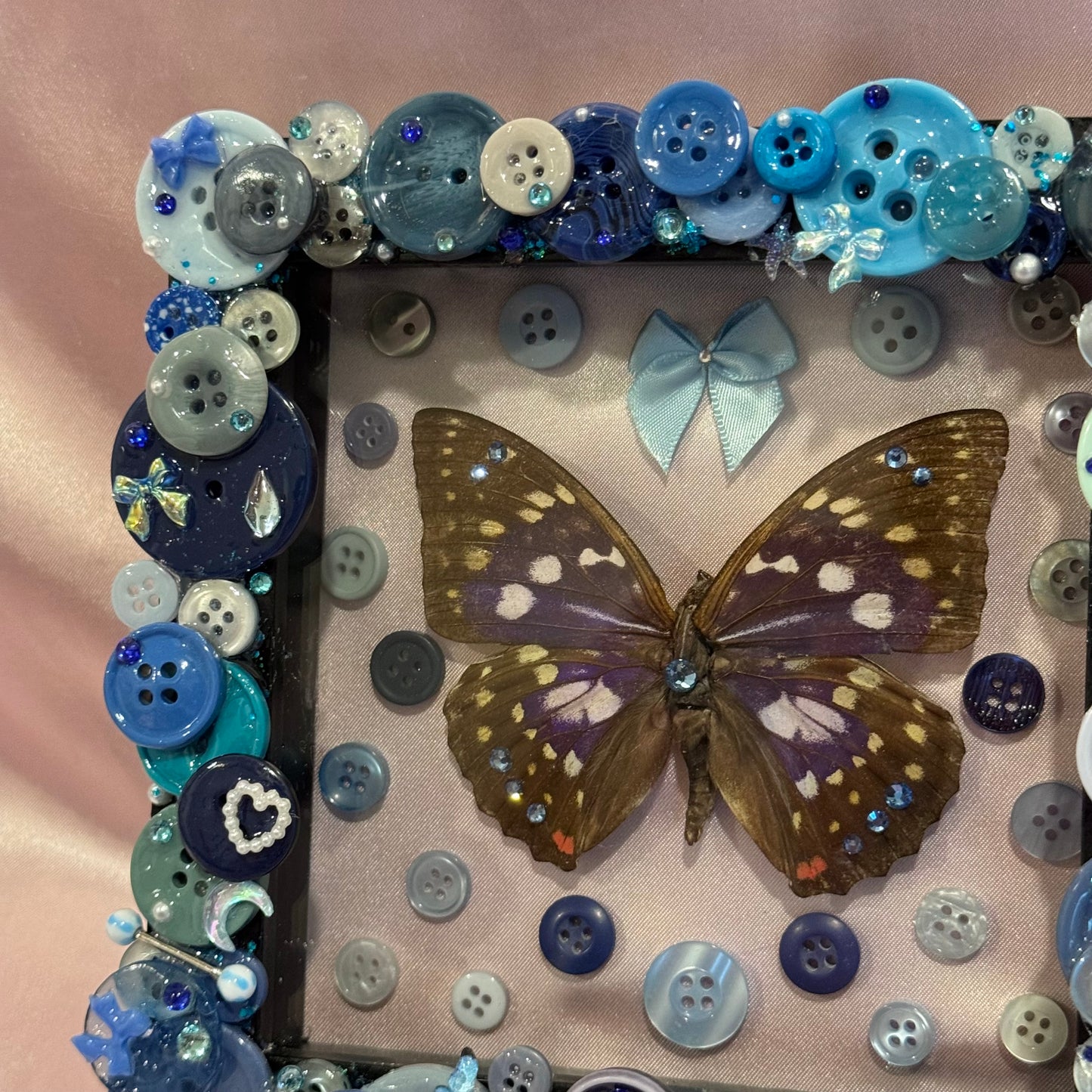Japanese Emperor Butterfly Button Baby