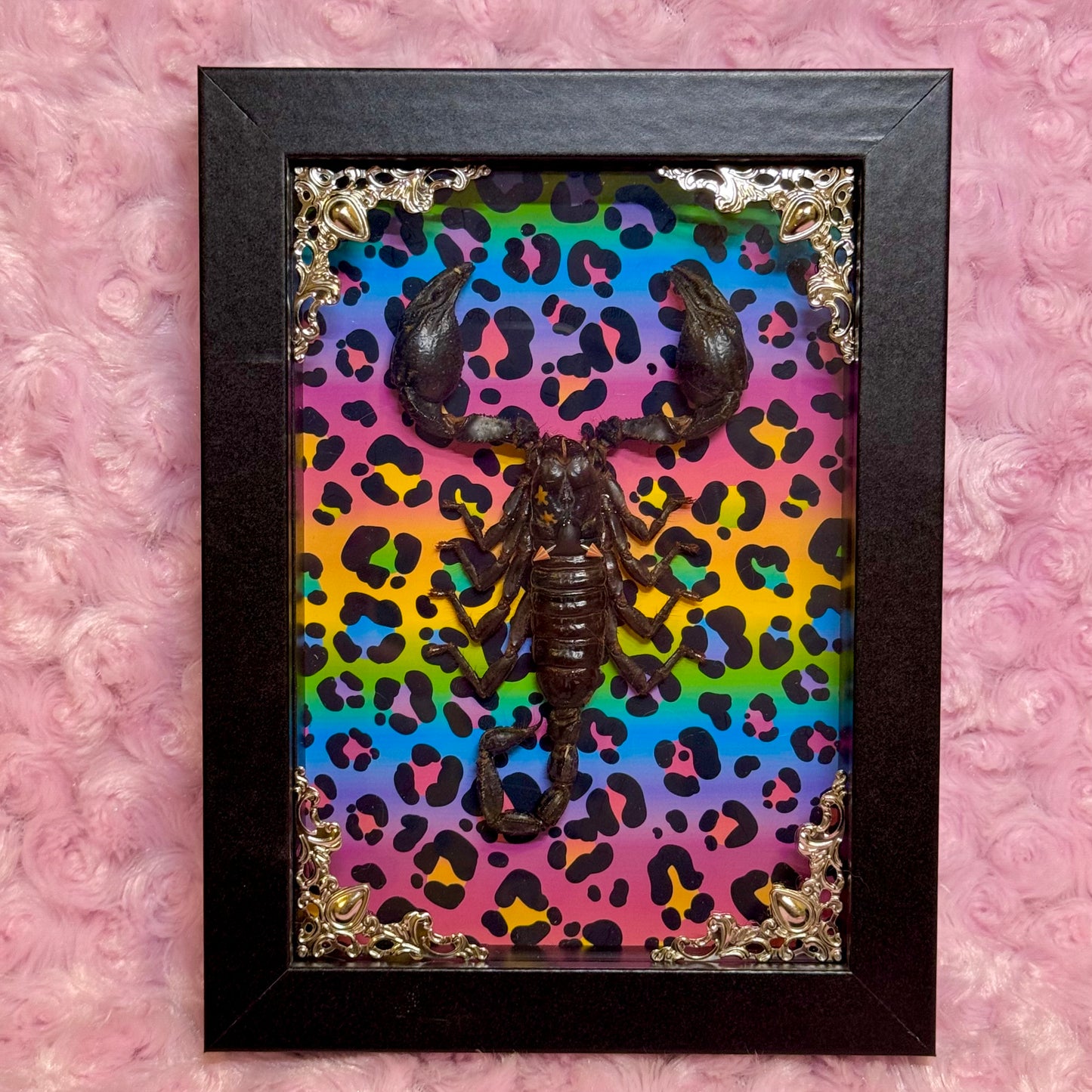 Scorpion On Lisa Frank Inspired Rainbow Cheetah Print
