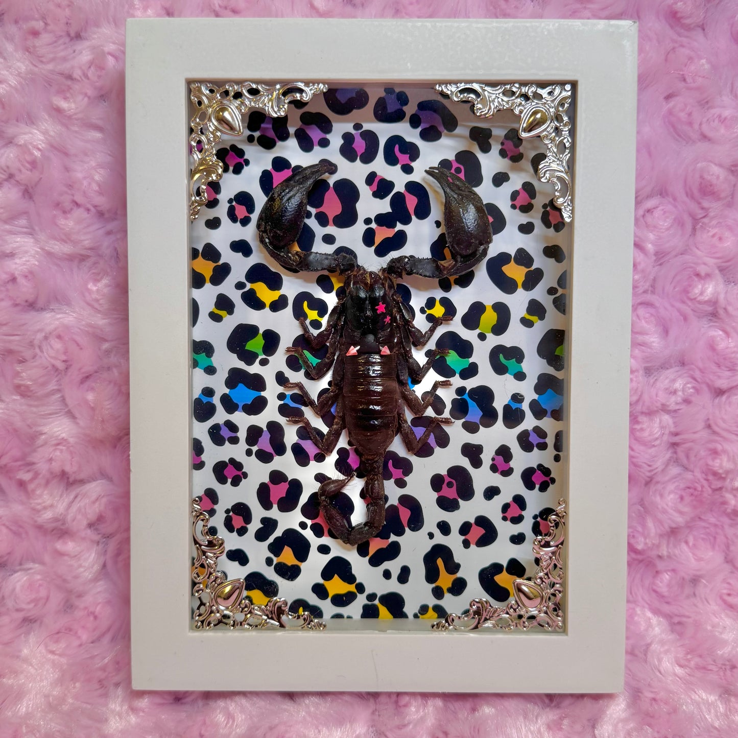 Scorpion On Lisa Frank Inspired Rainbow Cheetah Print