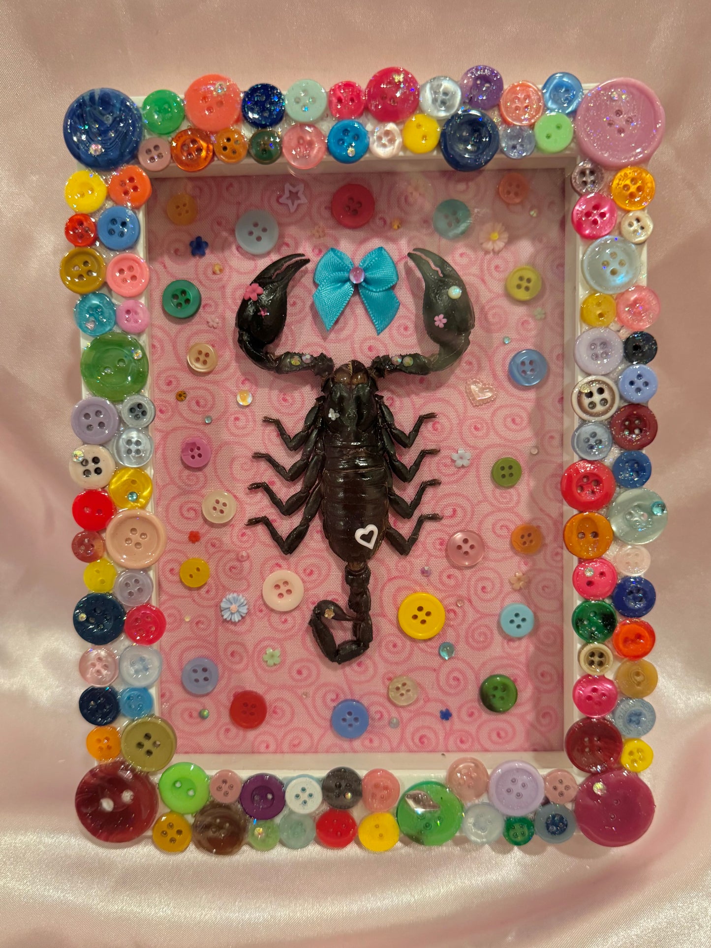 Button Baby Scorpion