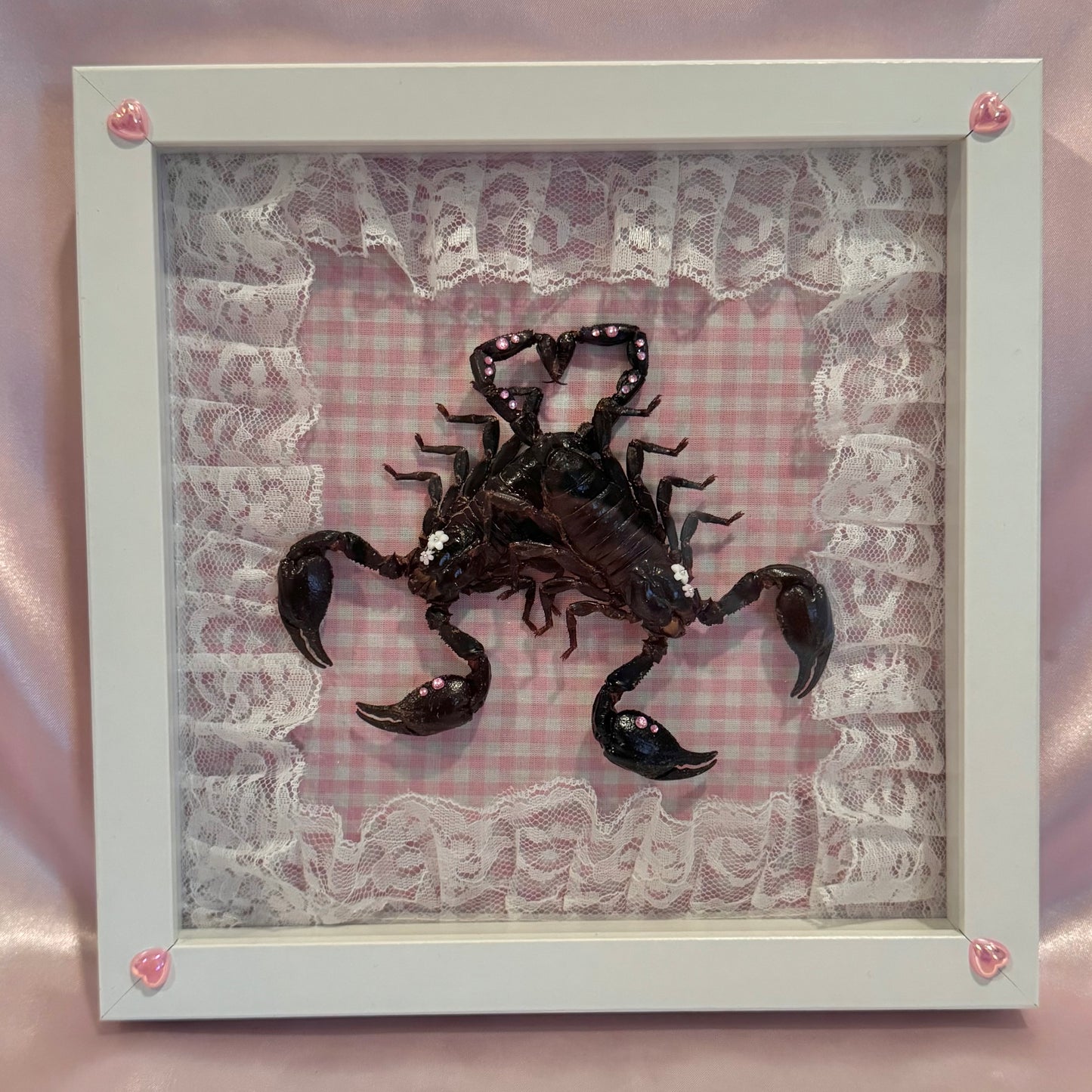 Scorpion Lovers on Pink Gingham