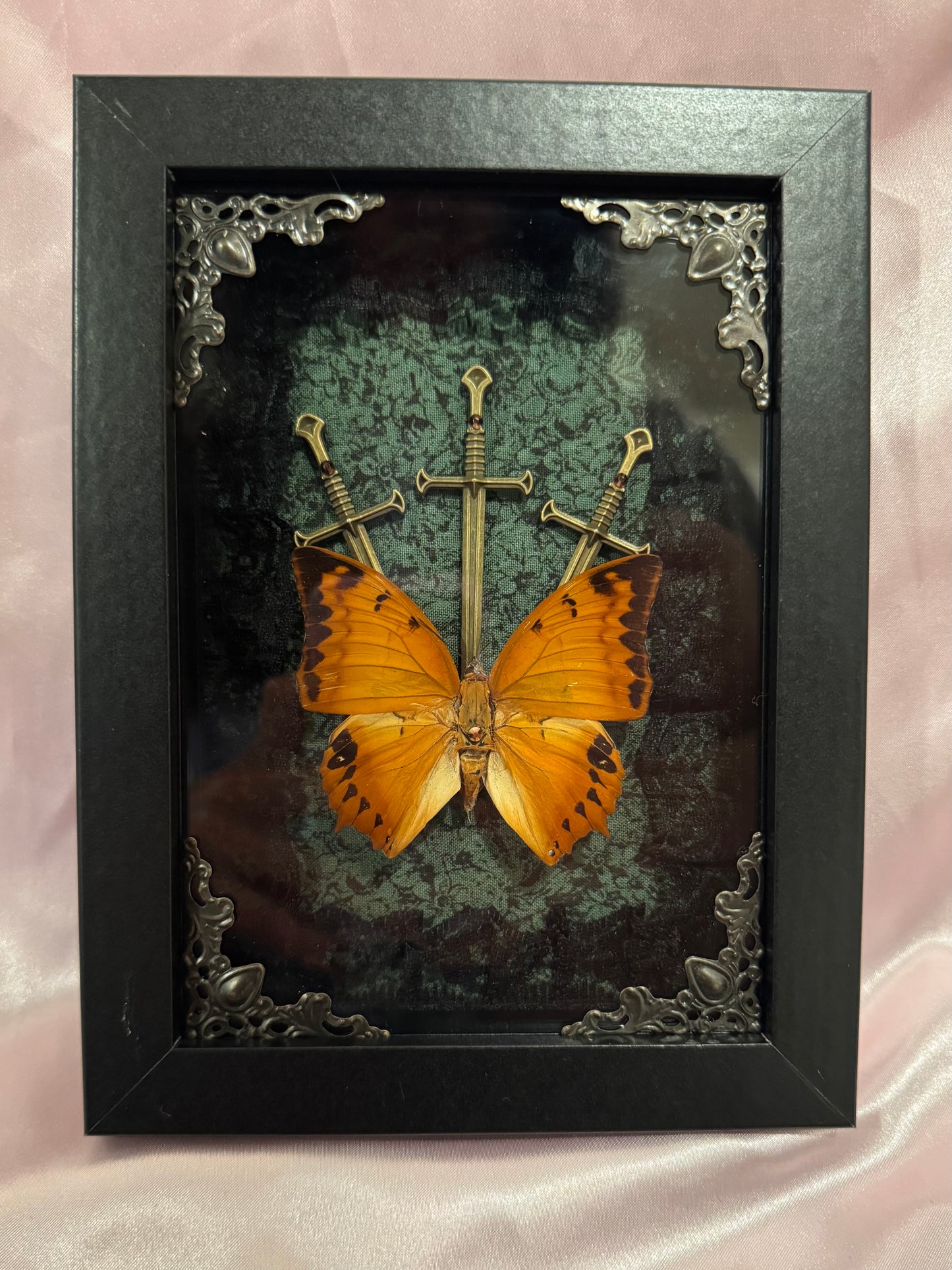 Three Of Swords - Cruiser Butterfly