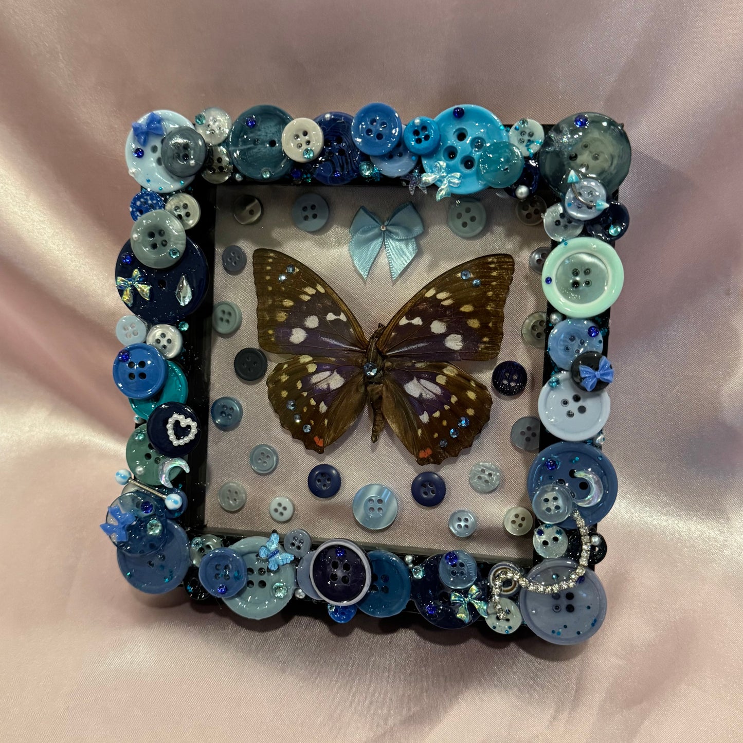 Japanese Emperor Butterfly Button Baby
