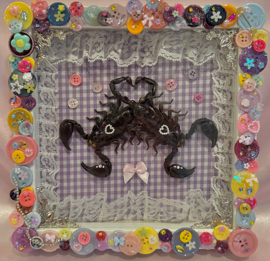 Scorpion Lovers Button Babies