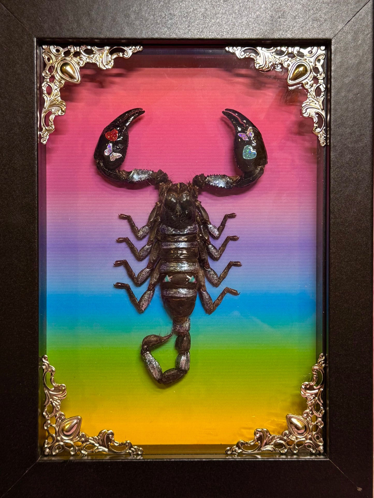 Scorpion On Lisa Frank Inspired Rainbow Print