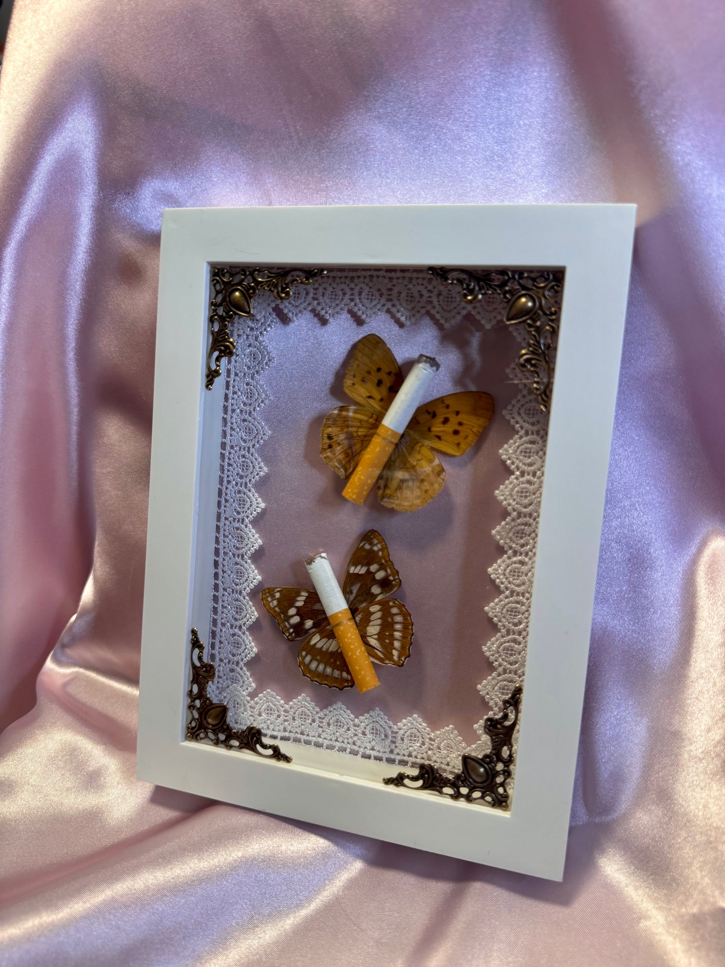 Butterfly Ciggies on Pink