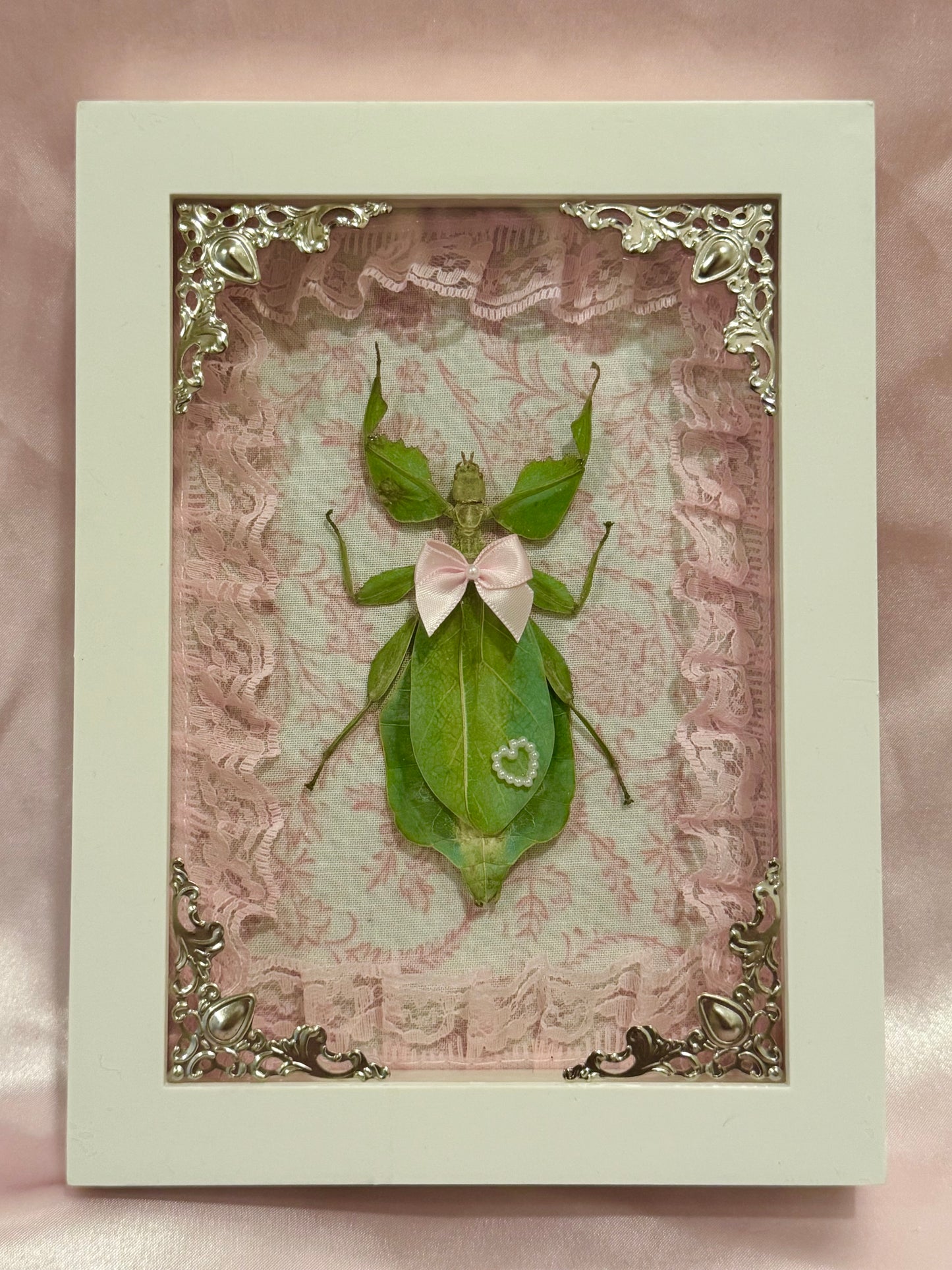 Green Leaf Insect On Lacey Pink