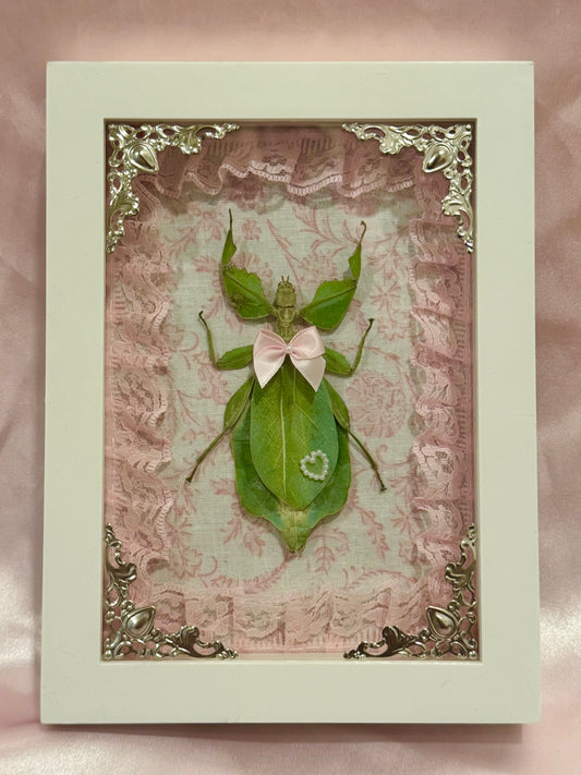 Green Leaf Insect On Lacey Pink