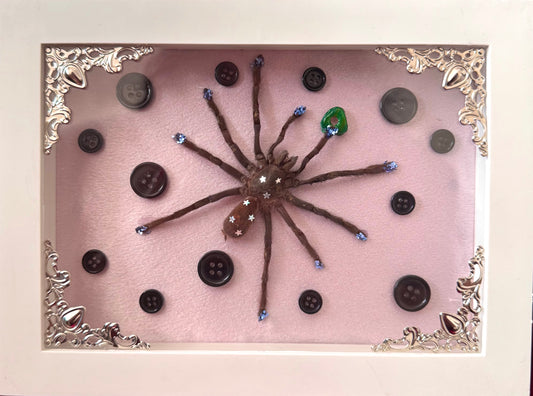 Coraline Tarantula