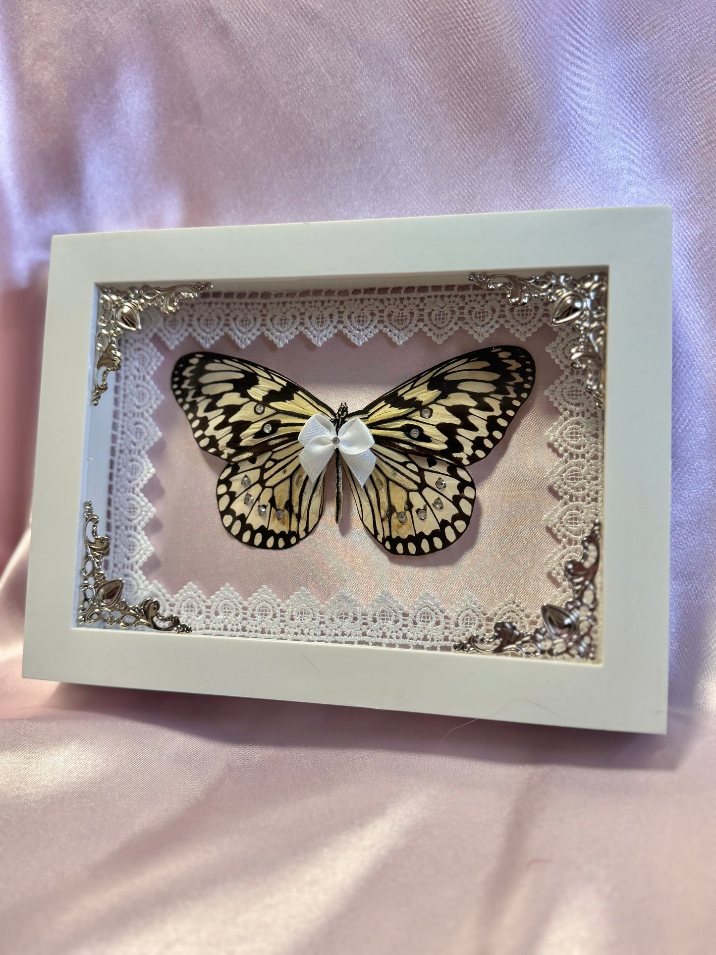 Paper Kite Butterfly