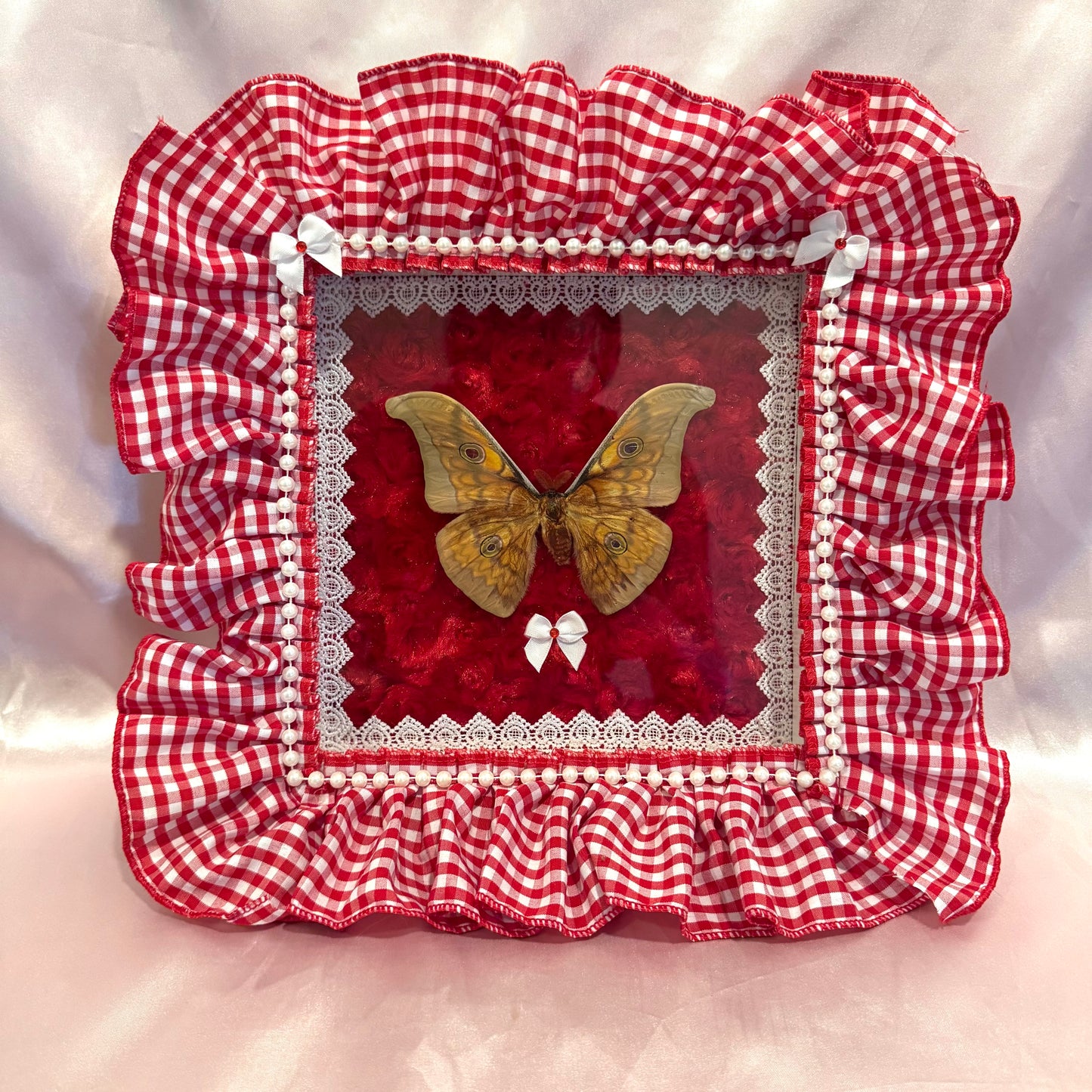 Japanese Silk Moth on Red