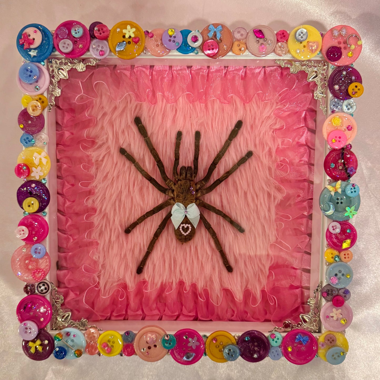 Tarantula on Fur Button Baby