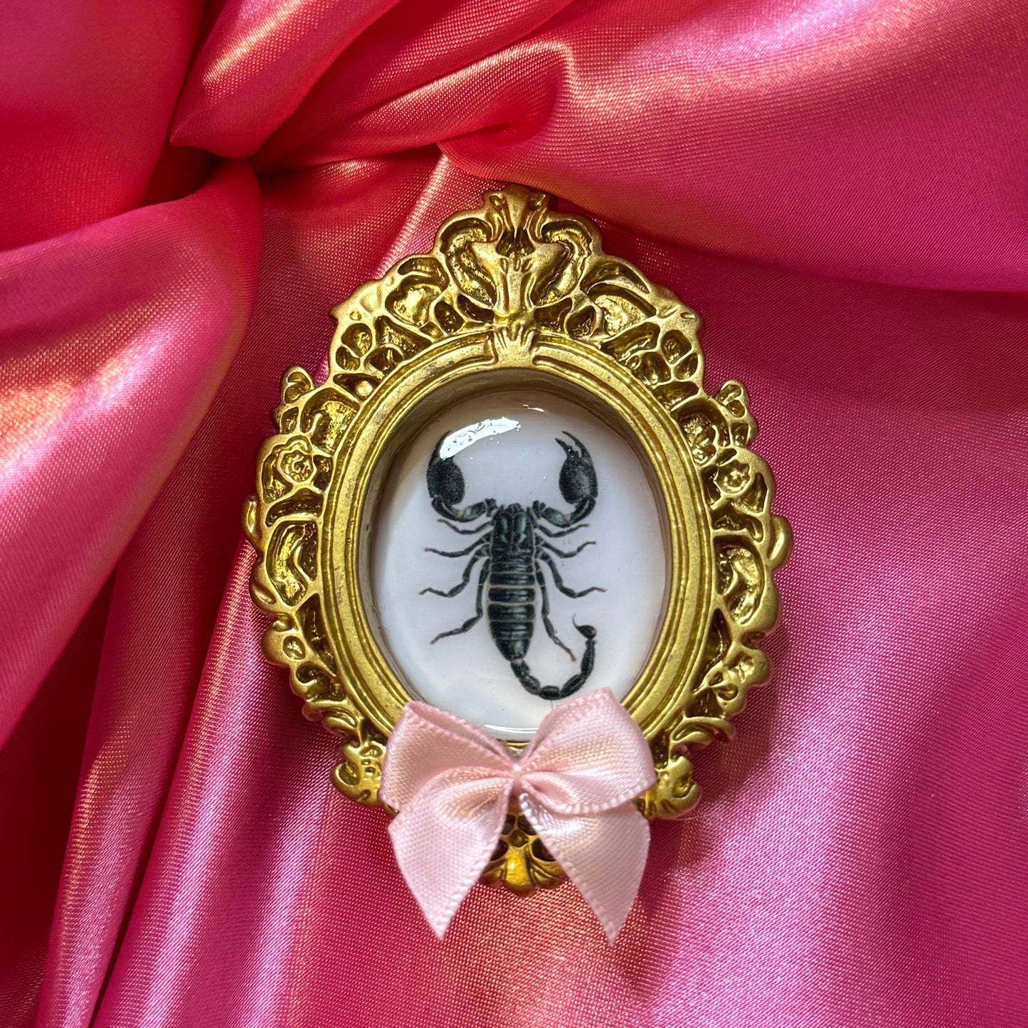 Scorpion Magnet Pink Bow