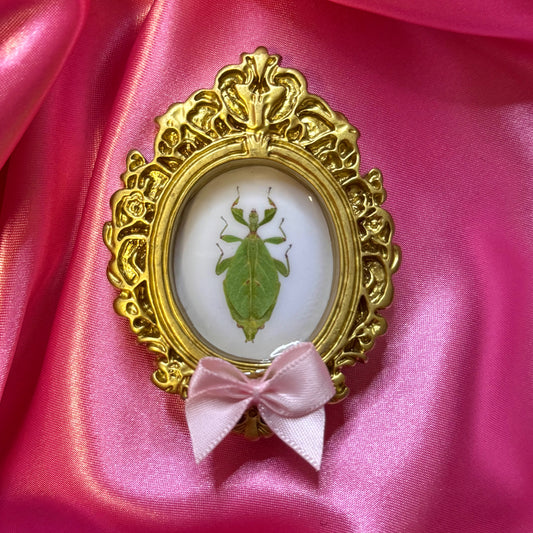 Green Leaf Insect Magnet Pink Bow