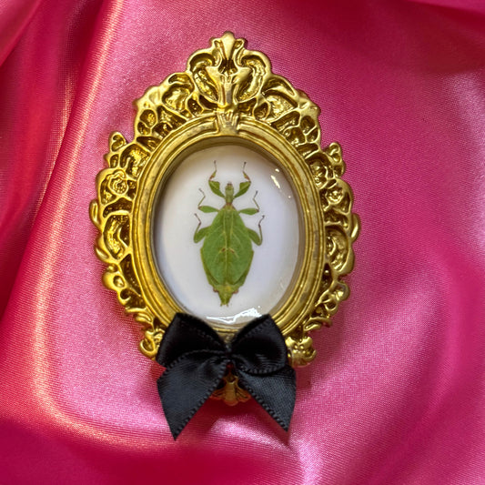 Green Leaf Insect Magnet Black Bow