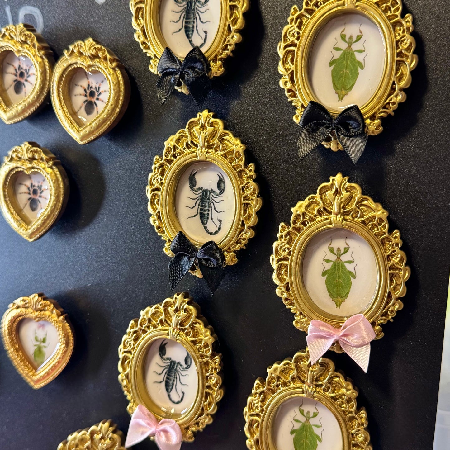 Scorpion Magnet Pink Bow